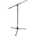 Telescoping Boom stand